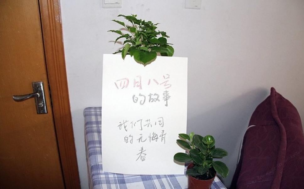西安四月八号旅行客栈