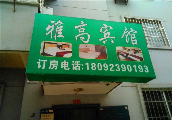 外观
