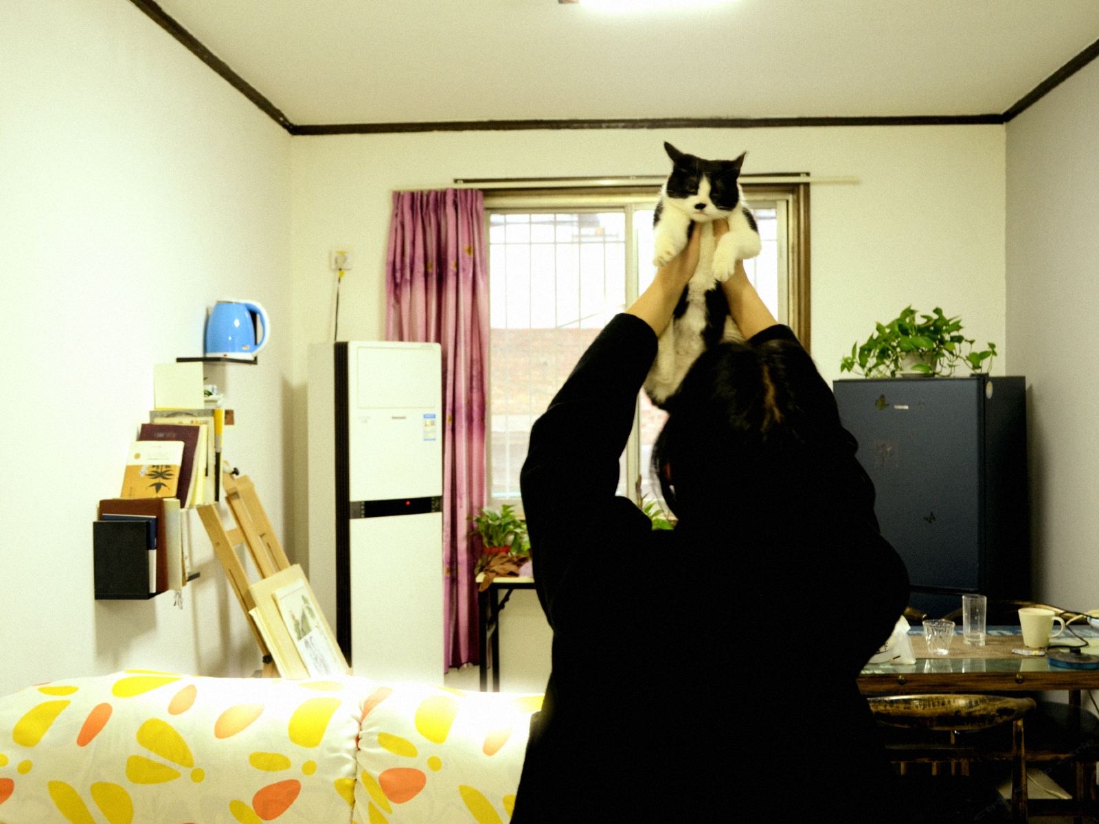 其他