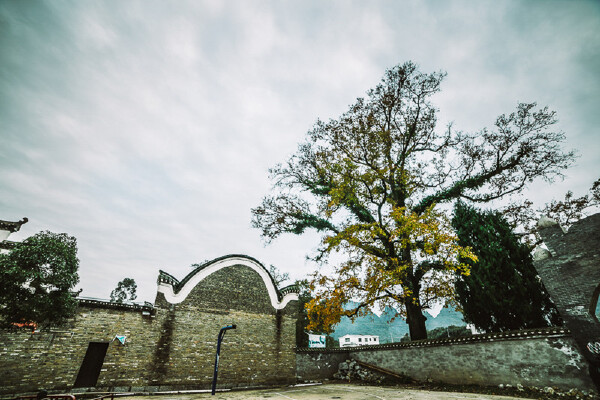 扬州到桂林旅游攻略_行程安排_景点推荐