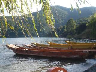 去云南西雙版納游怎么省錢_云南西雙版納旅游價格多少跟團(tuán)_云南西雙版納游報(bào)價