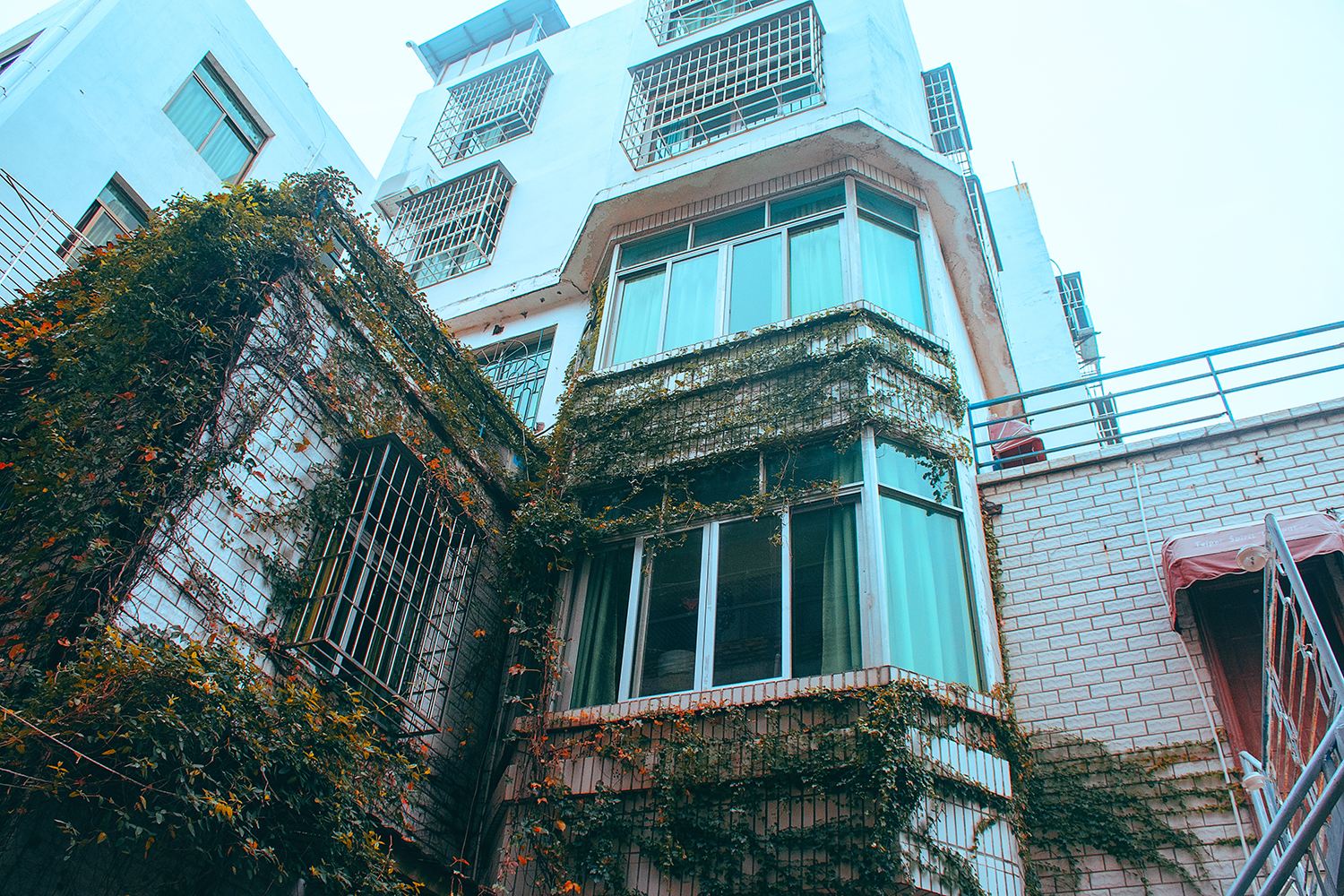 厦门弗生小屋