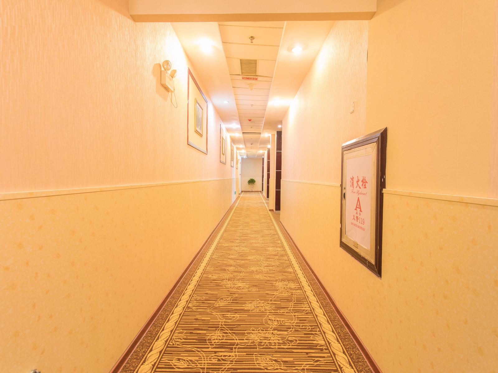 公共区域