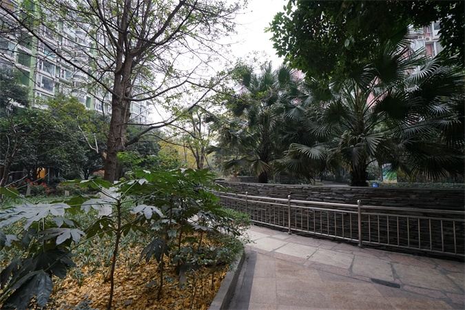 海德度假公寓(成都宽窄巷子店)