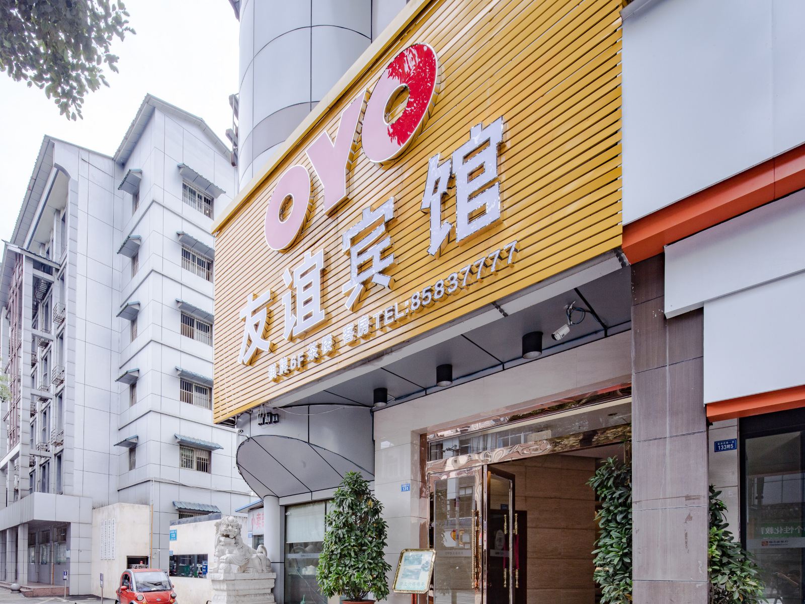 外观