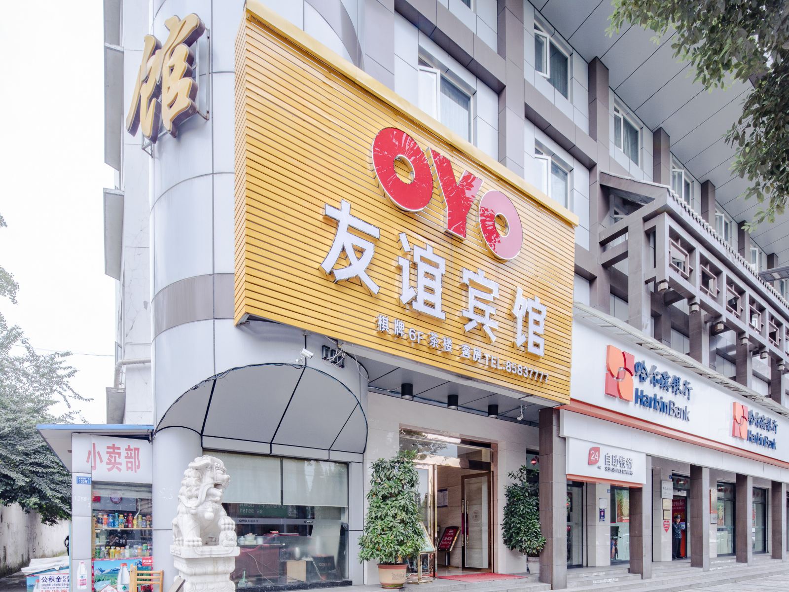 外观