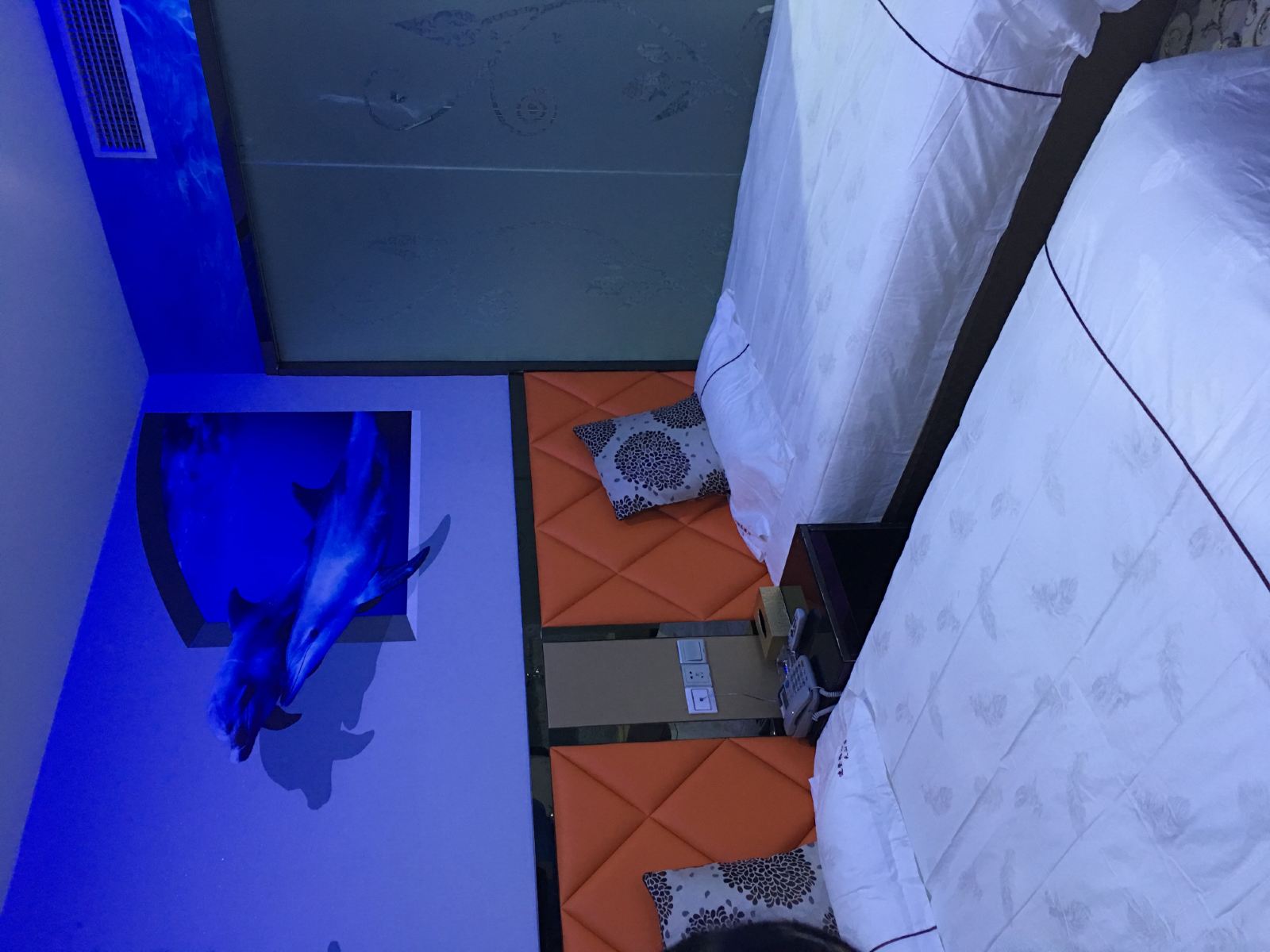 豪华双床房(无窗)
