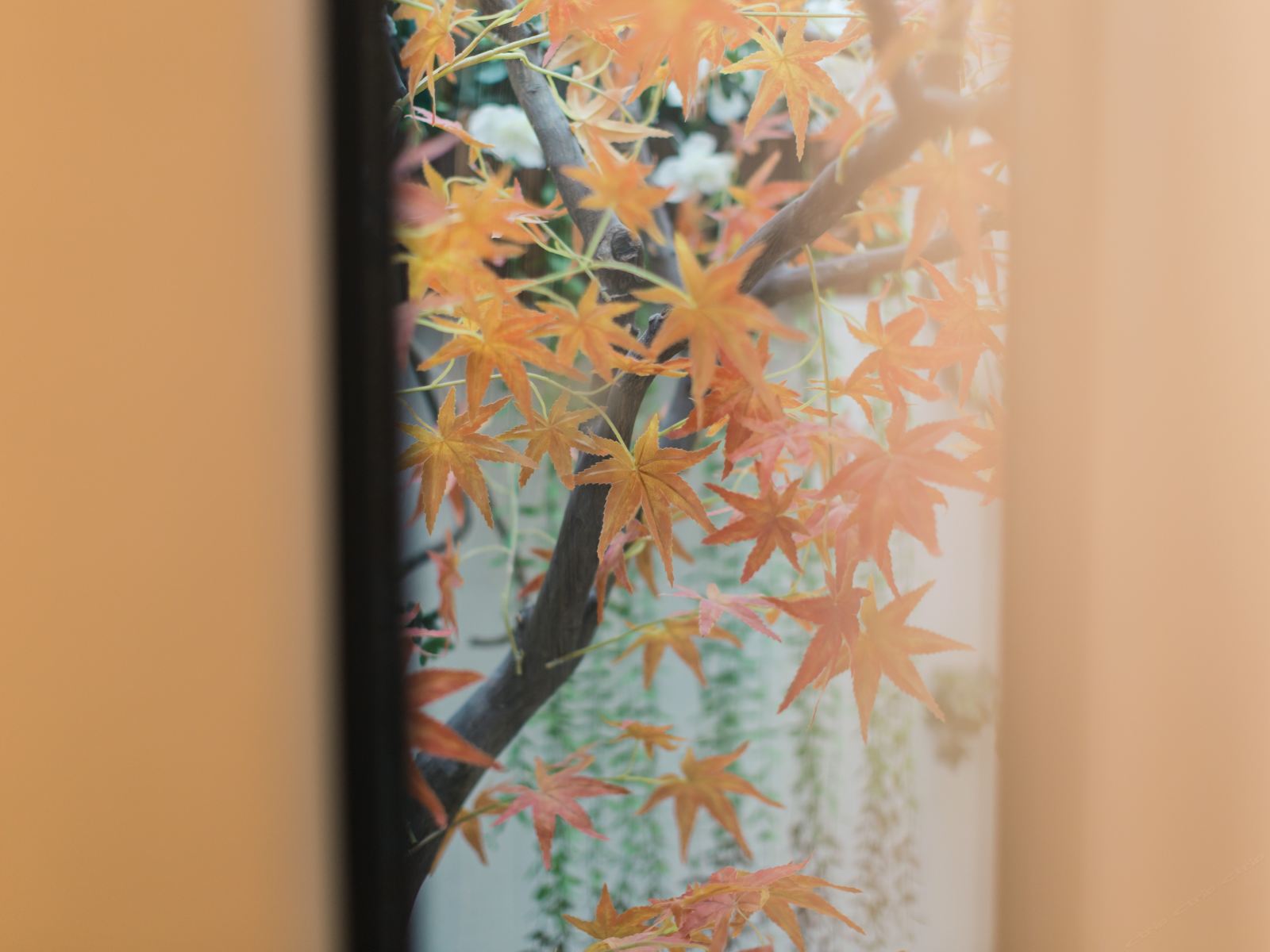 和颐双床房