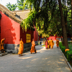 景点模块 