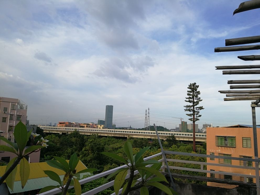盛园一室一厅大床房