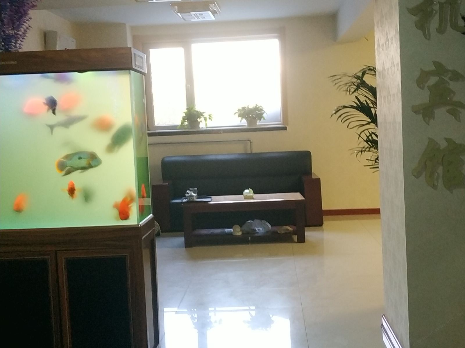 标准大床房
