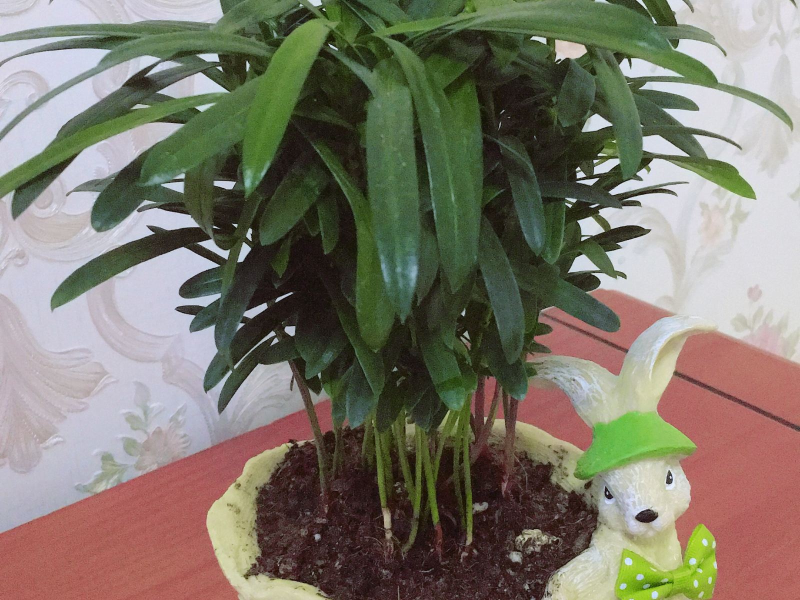 商务麻将套房