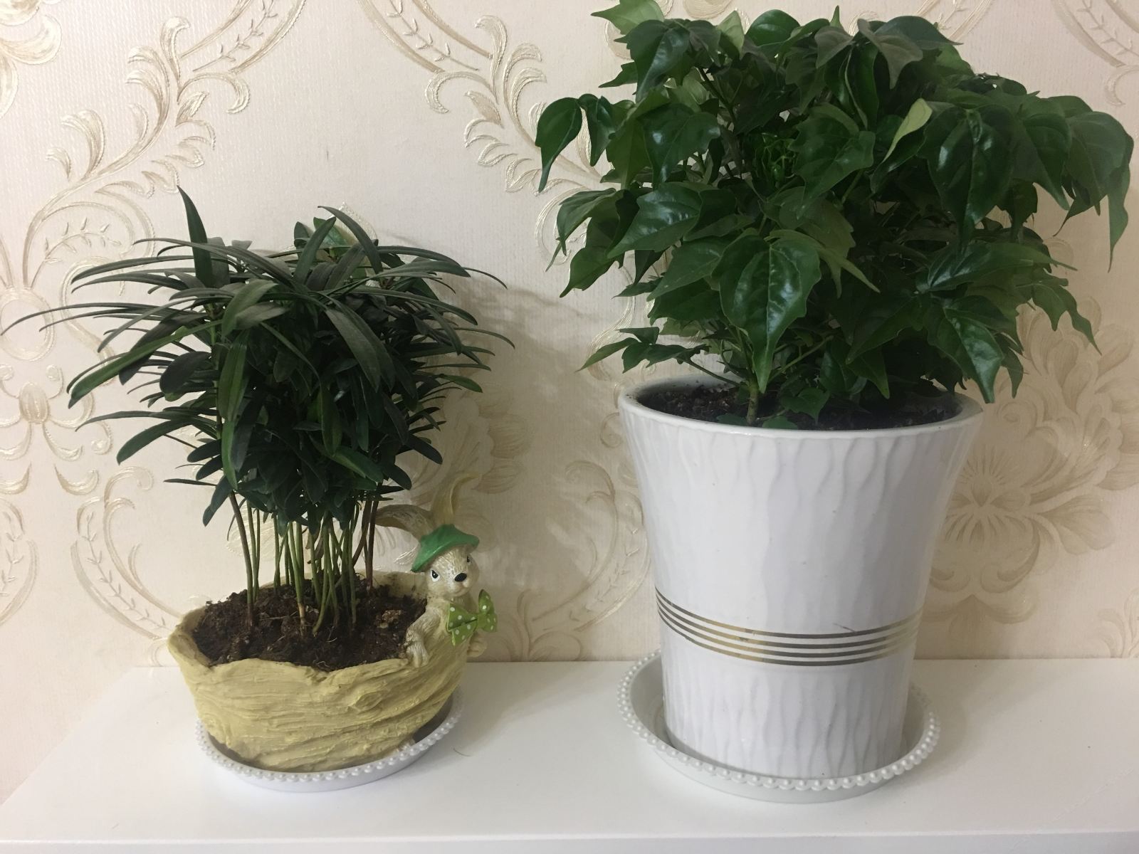 商务麻将套房