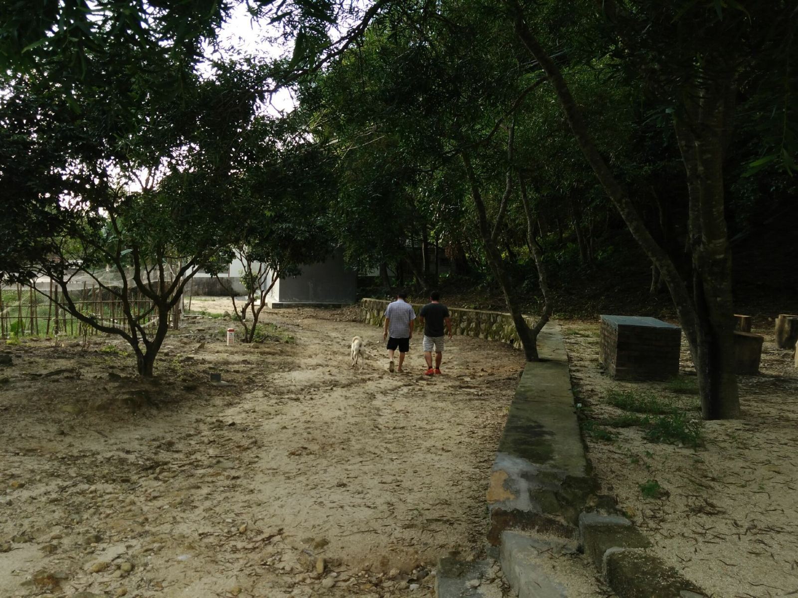 公共区域