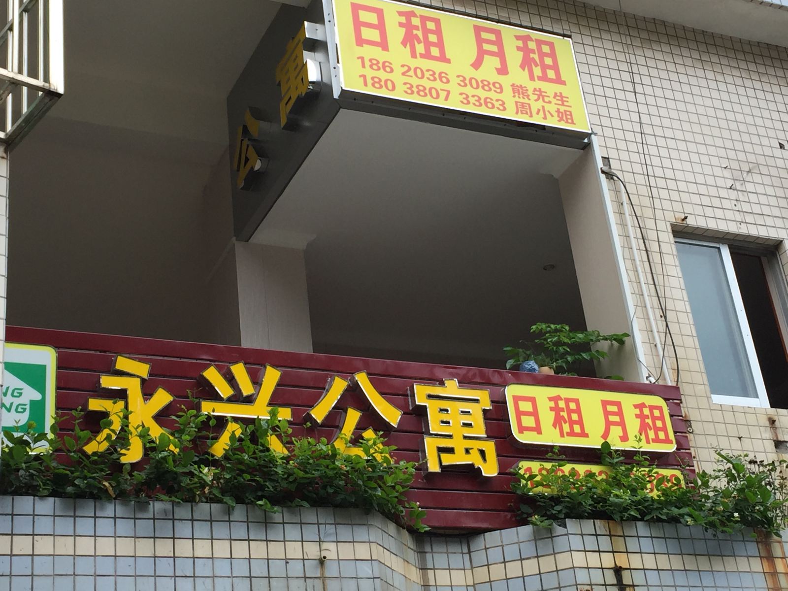 外观