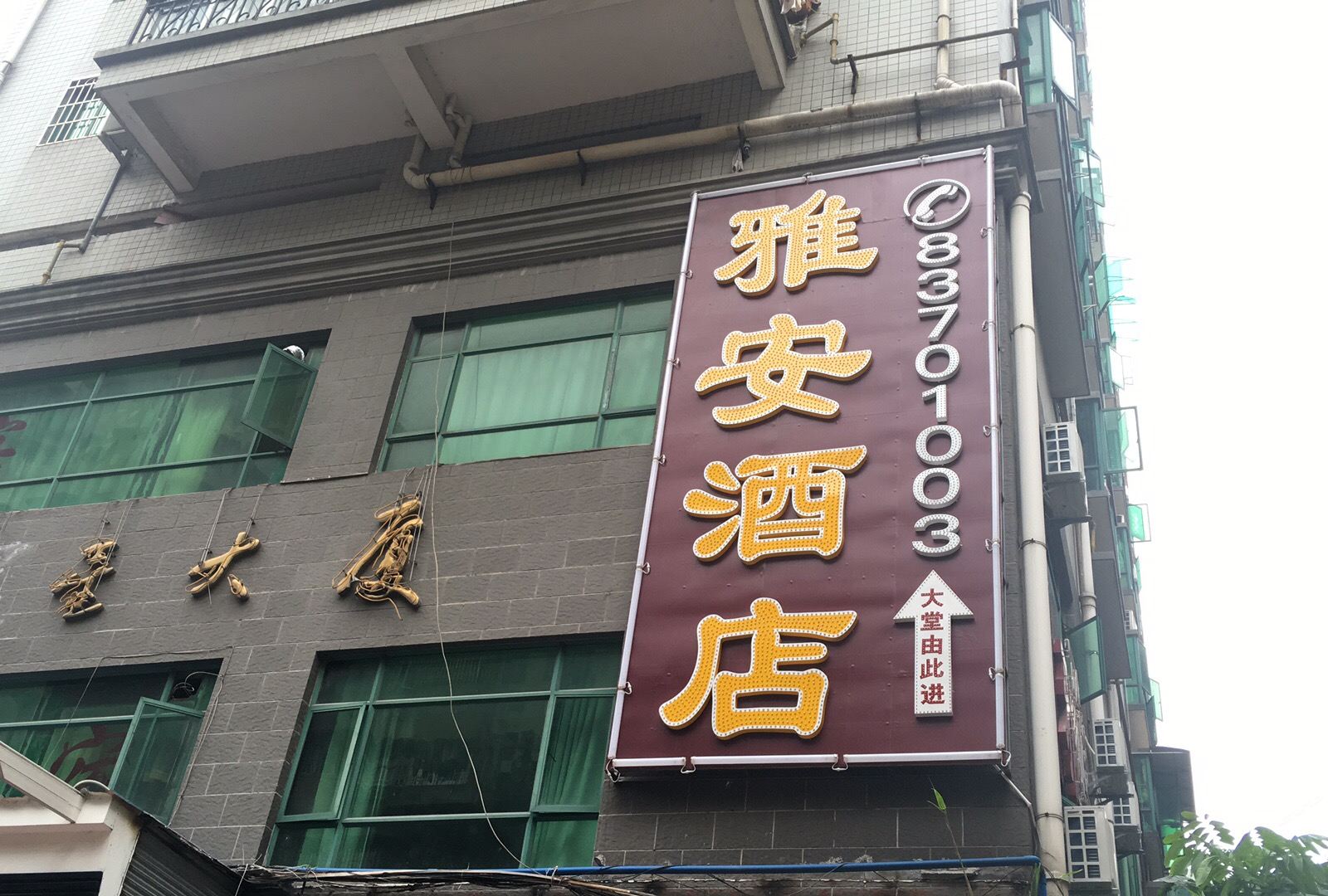 外观