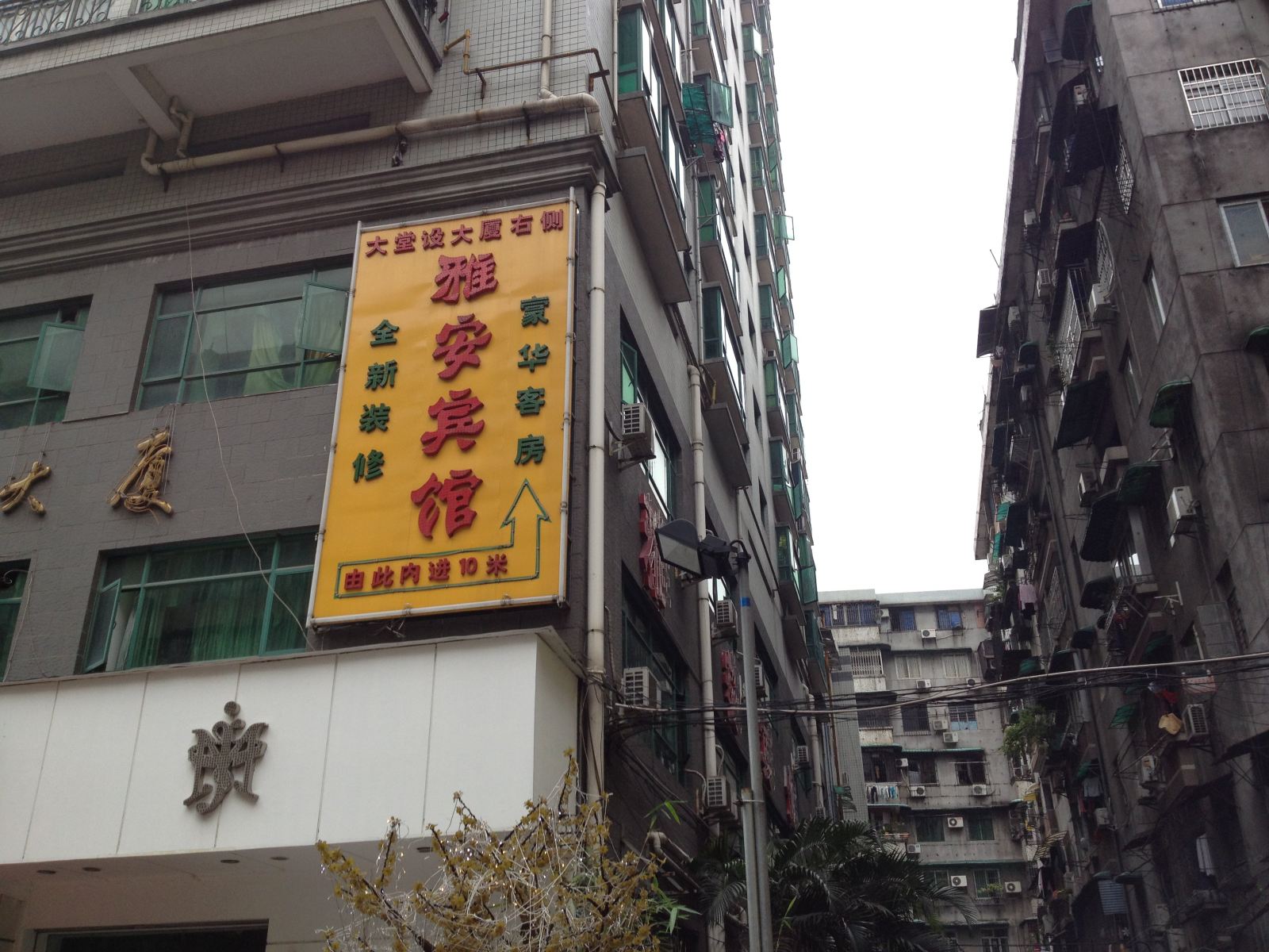 外观