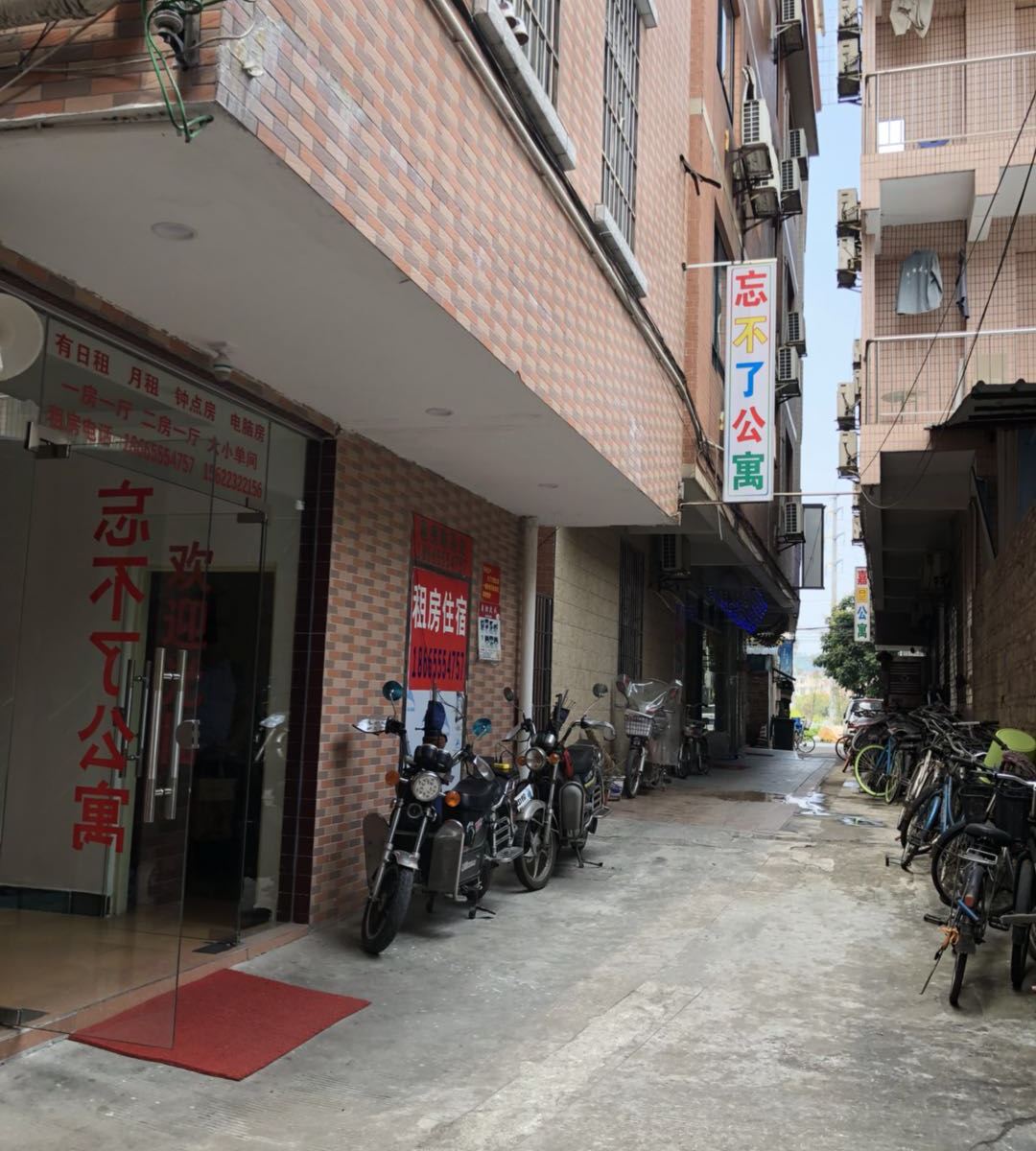 外观