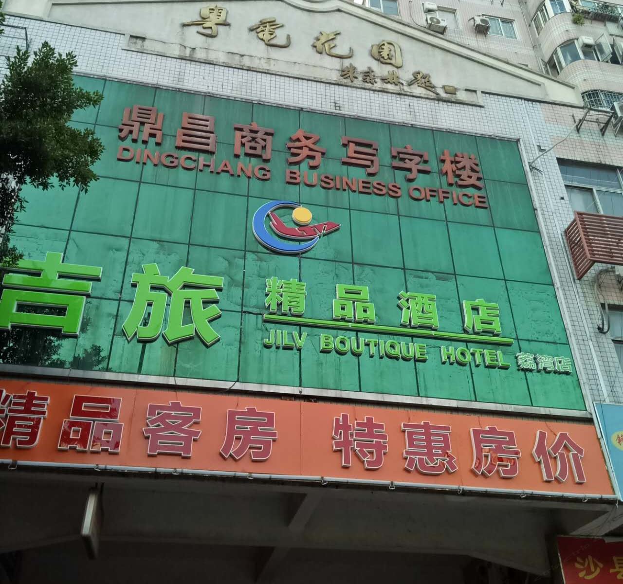 外观