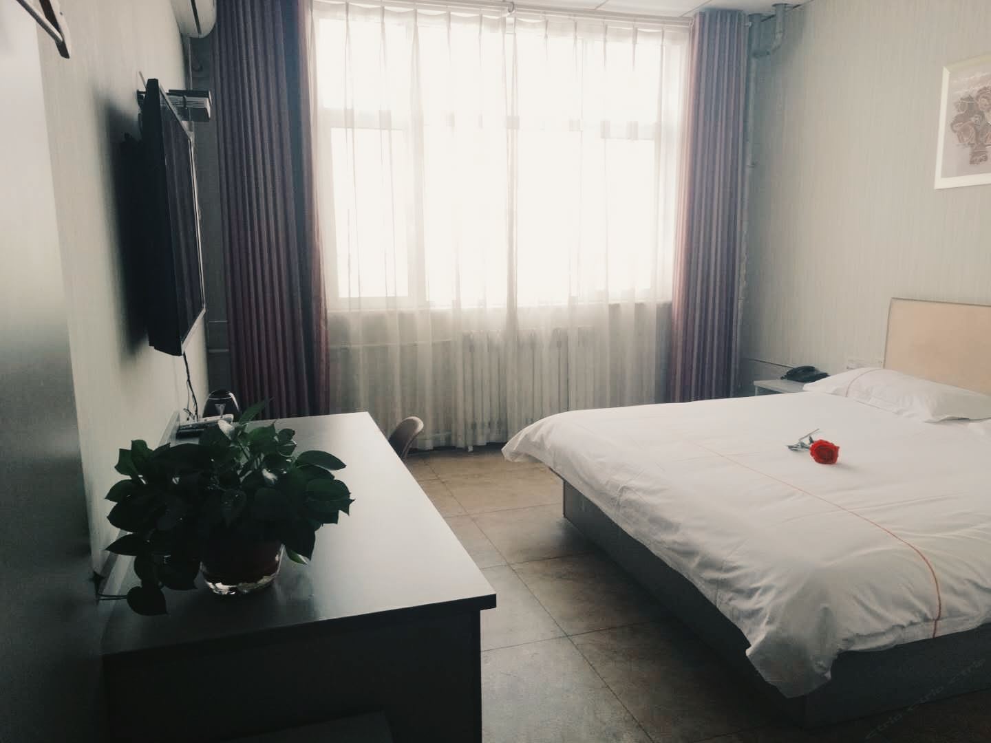 大床房