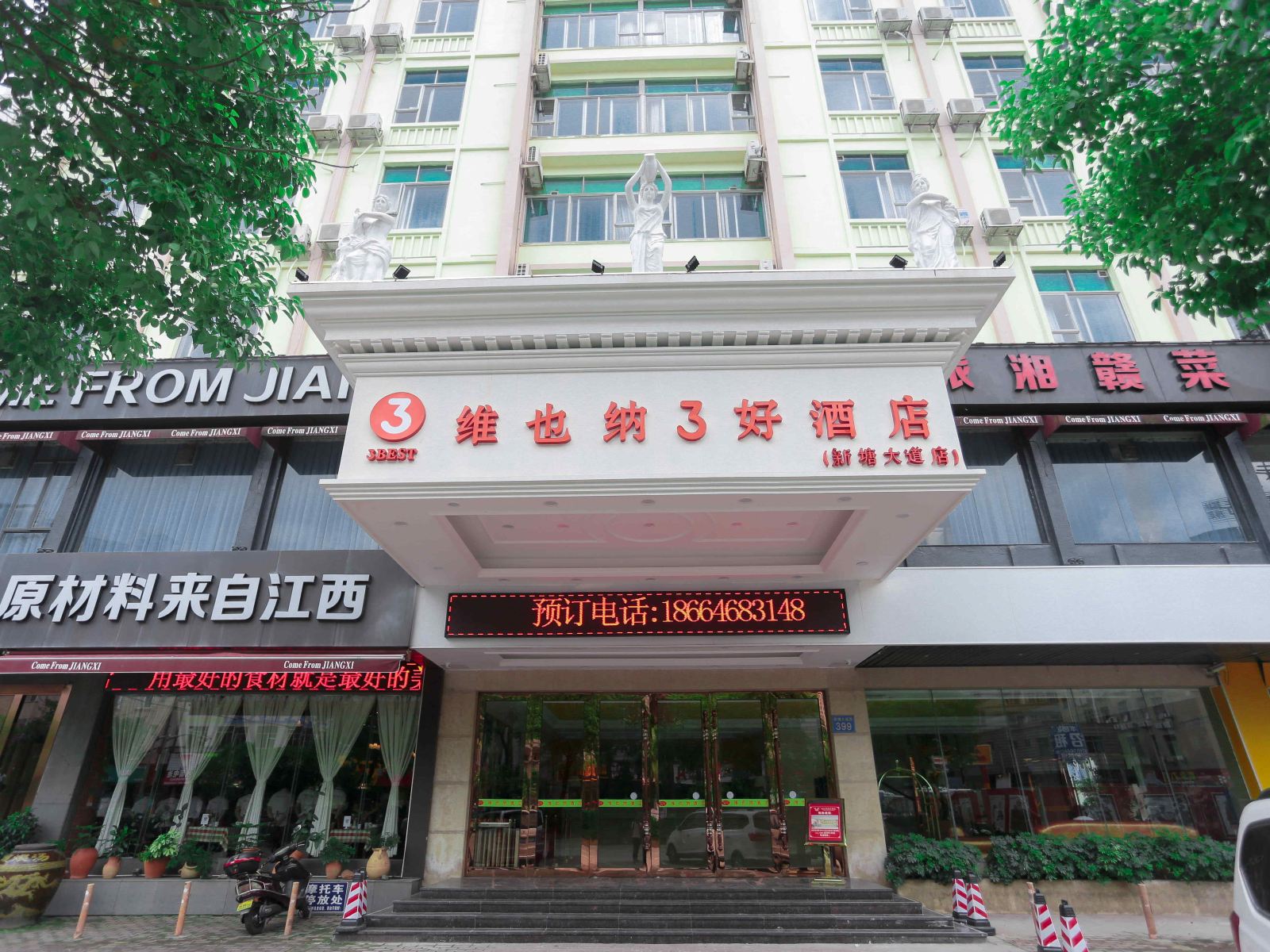 外观