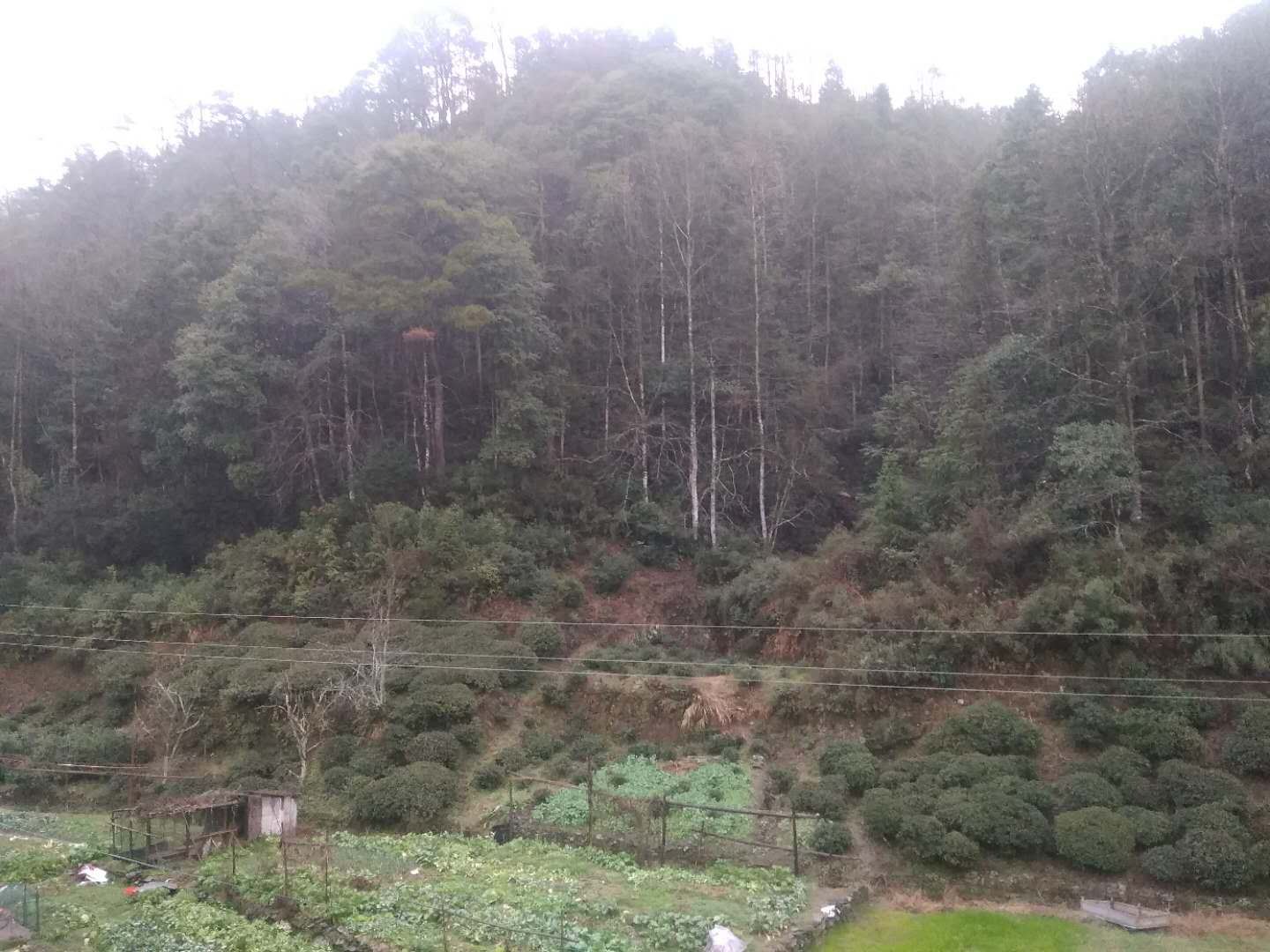 标准间