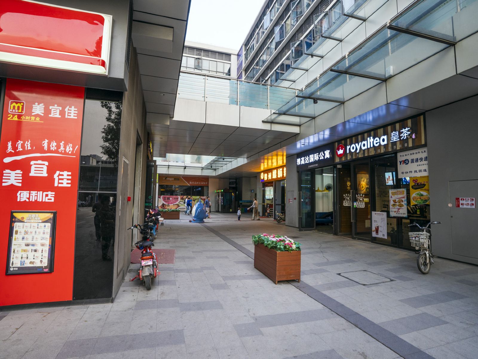 外观