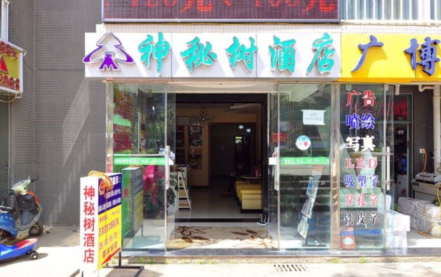昆明神秘树公寓酒店