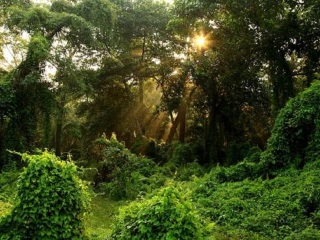 尼泊爾游價格_到尼泊爾旅游報團價格_尼泊爾旅游費用多少