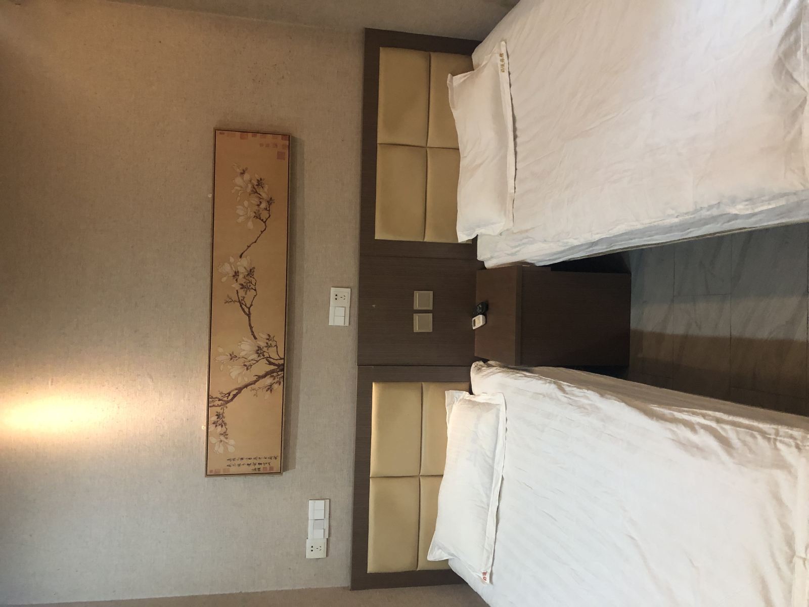 标准双床房