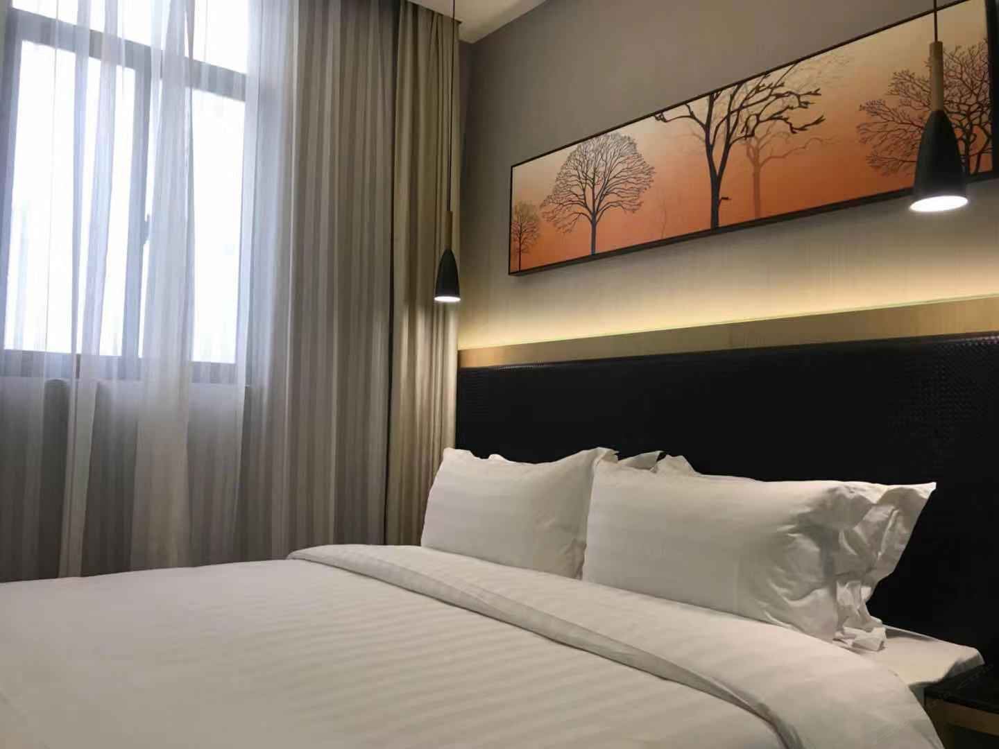 高级套房