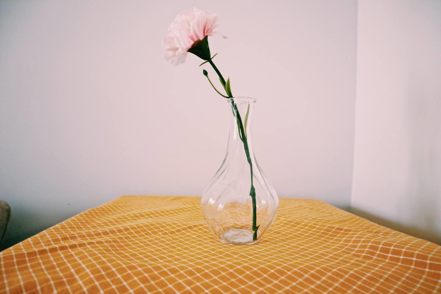舒适清风二室一厅套房