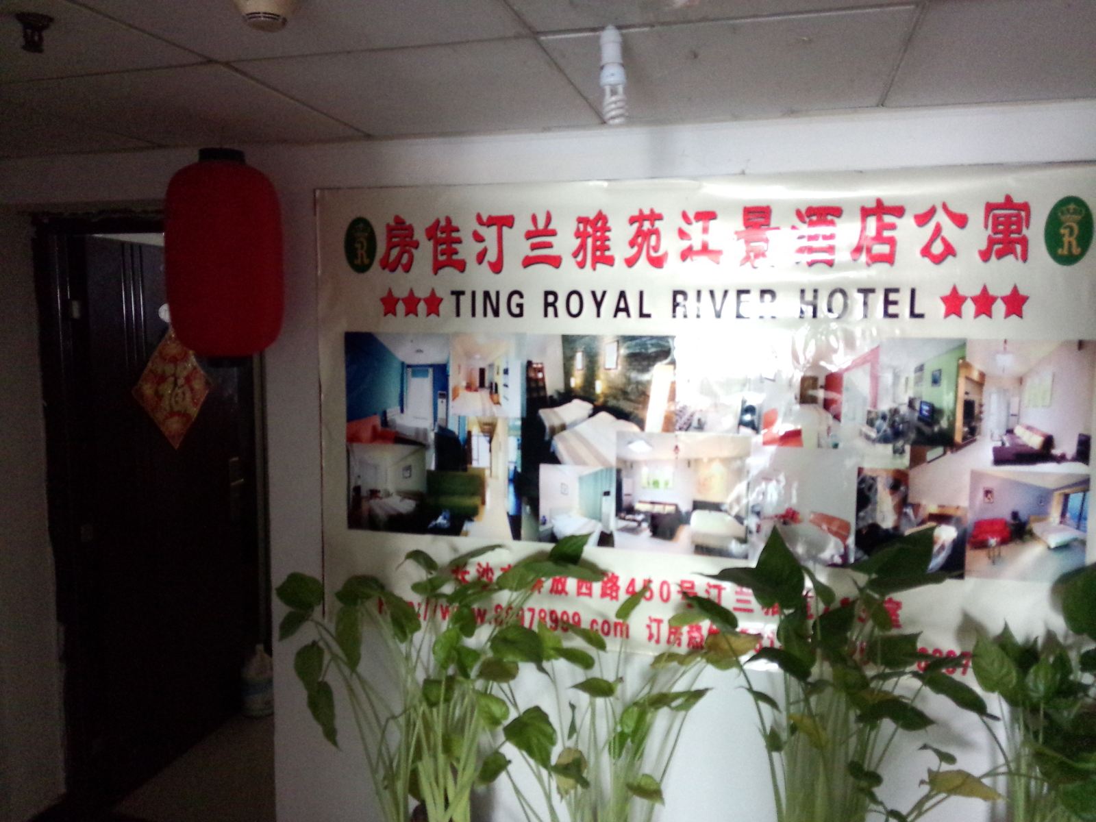 公共区域
