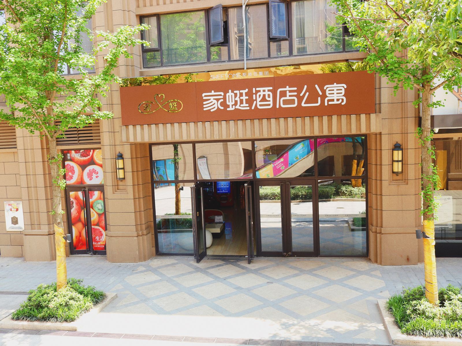 外观