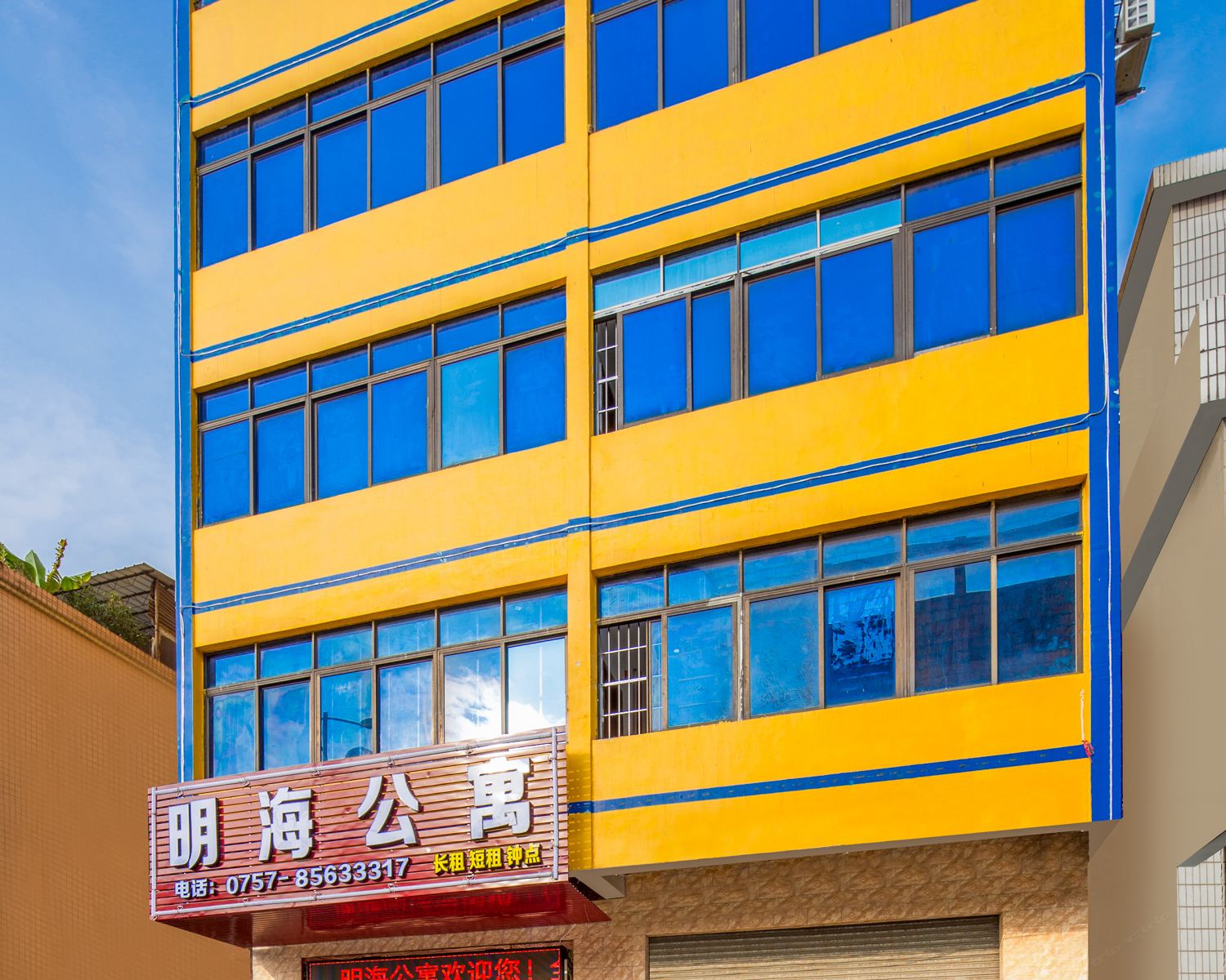 外观