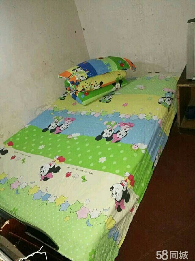 普通单人间