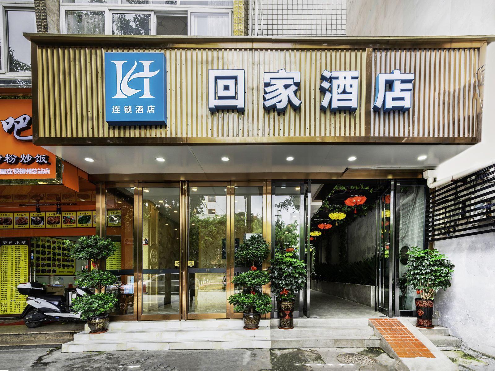 外观
