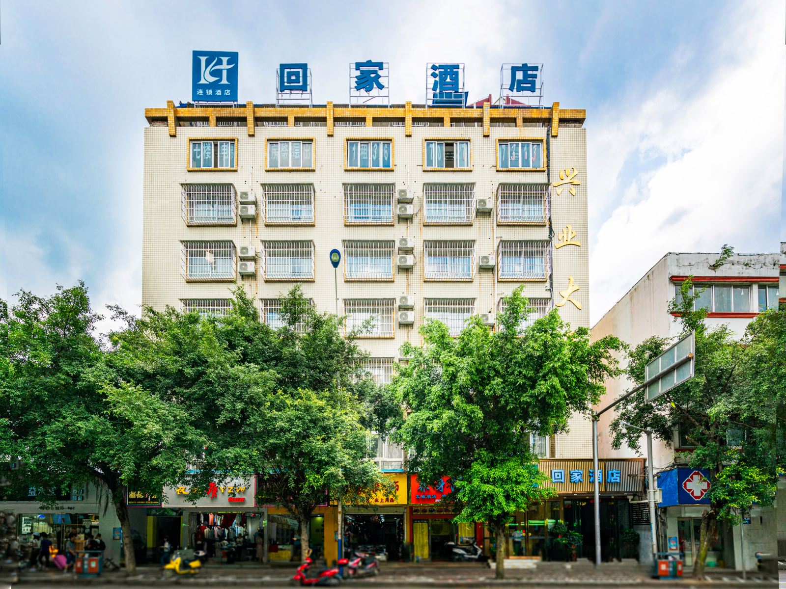 外观