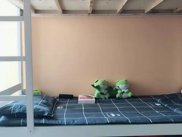 特惠房(床位)(公共卫浴)