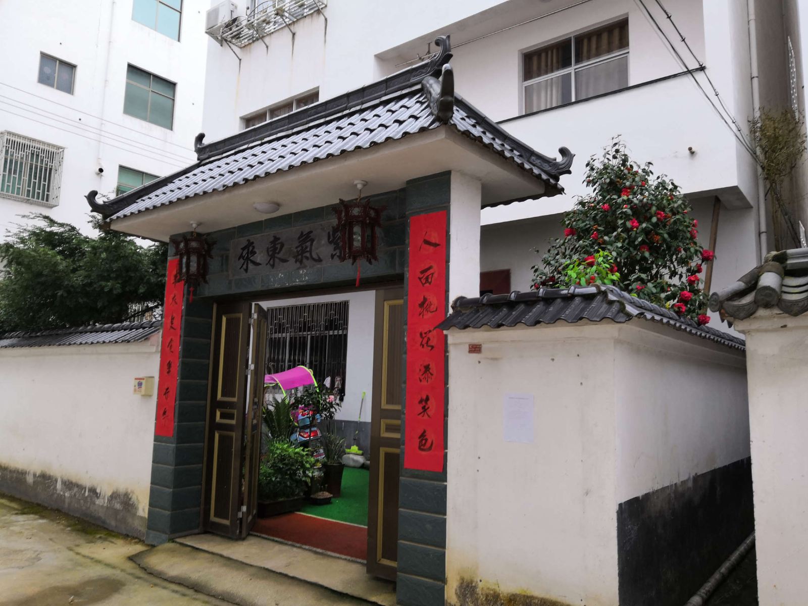 外观