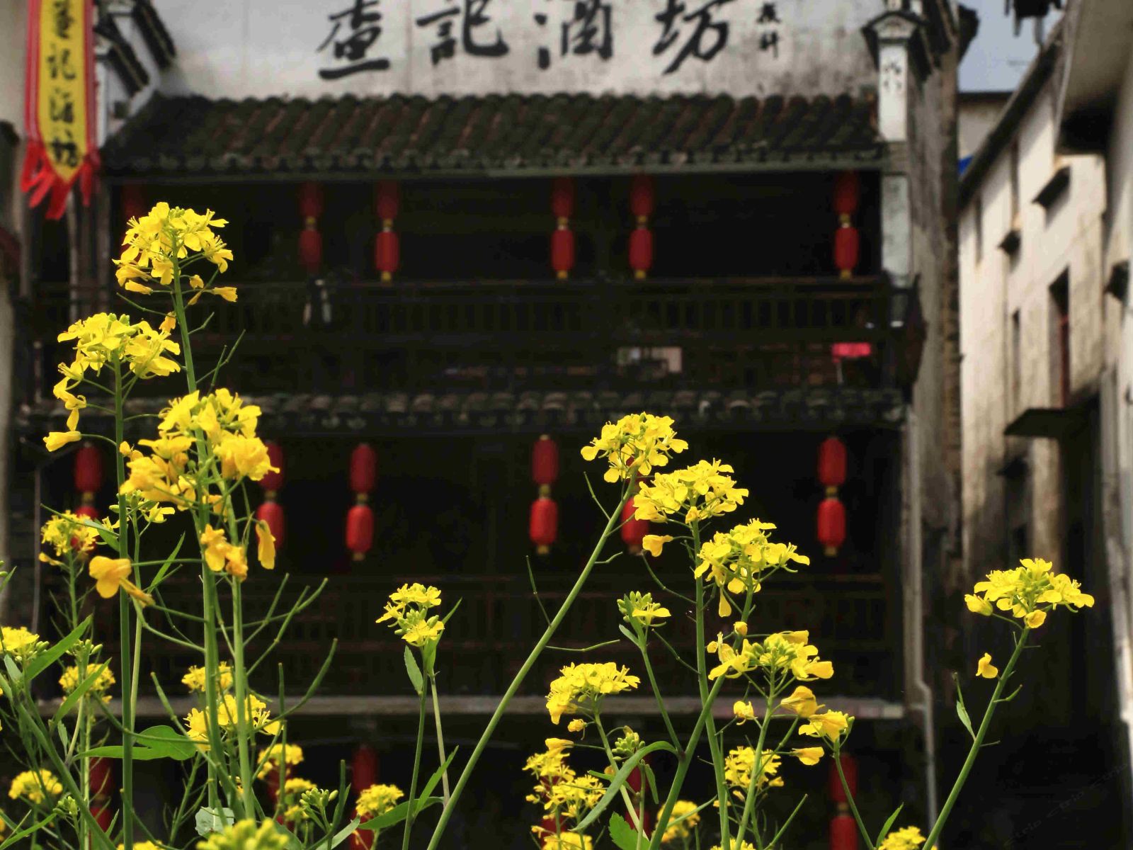 婺源查记酒坊宝德堂老坊
