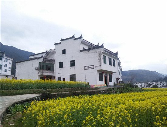 婺源兰花饭馆
