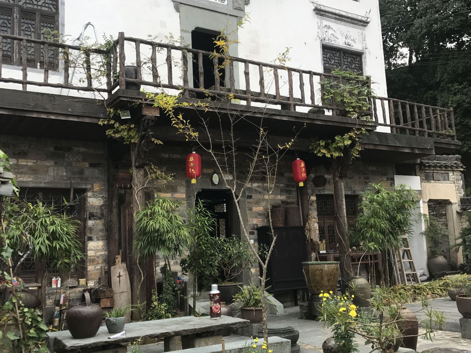 外观