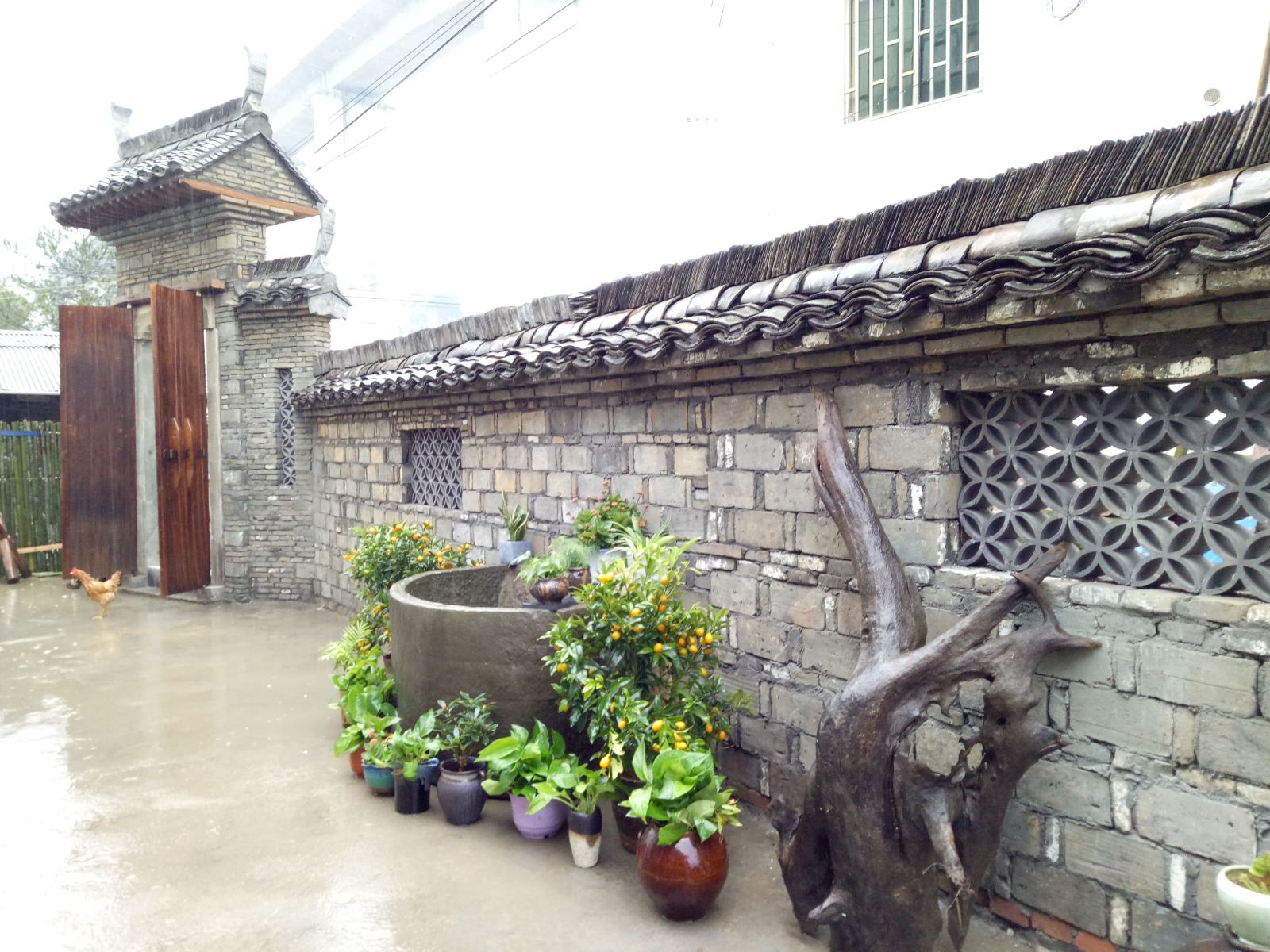 公共区域