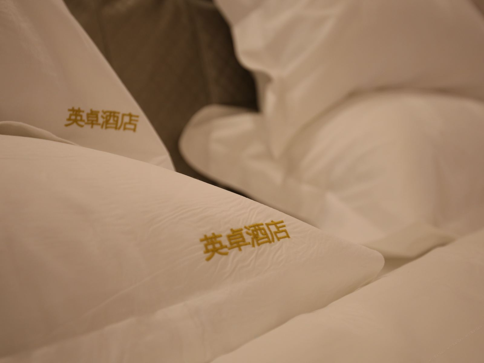 Romantic Plus大床房
