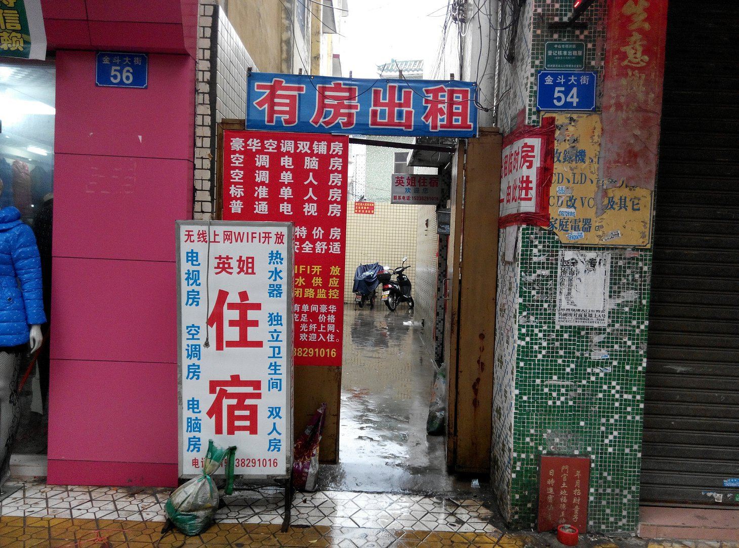 外观