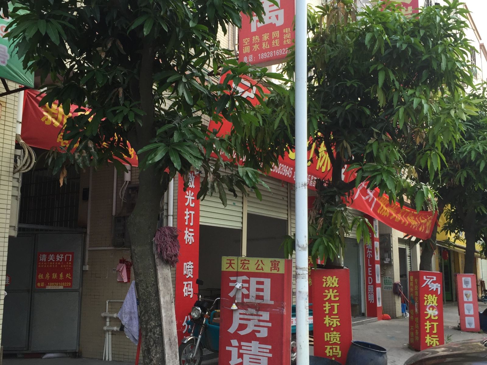 外观