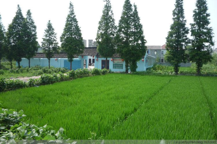 西塘聚福园客栈