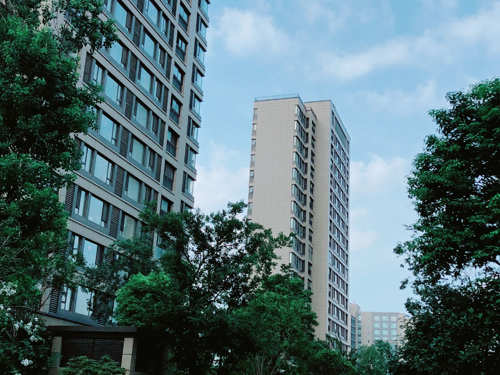 一米阳光套房