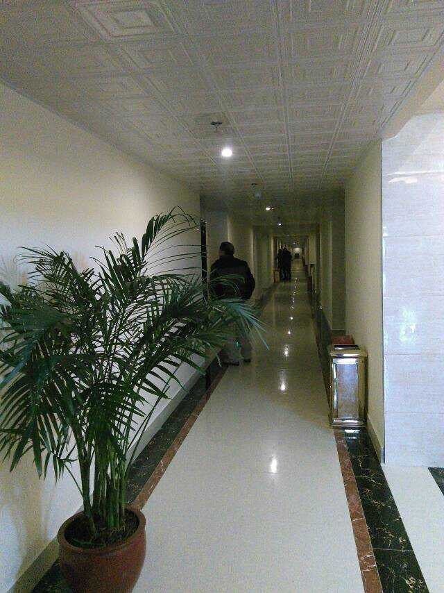 标准单人房